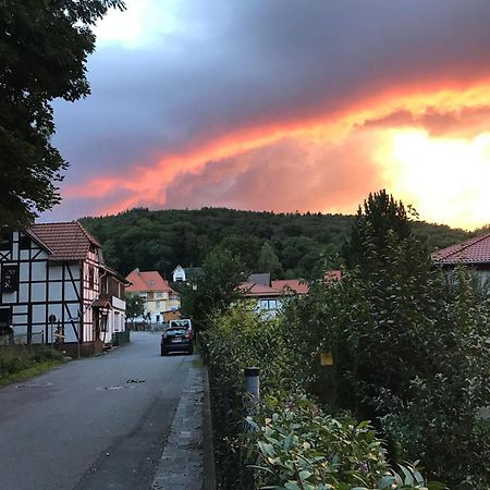 Ferienwohnung-Willgeroth Ilsenburg Eksteriør billede